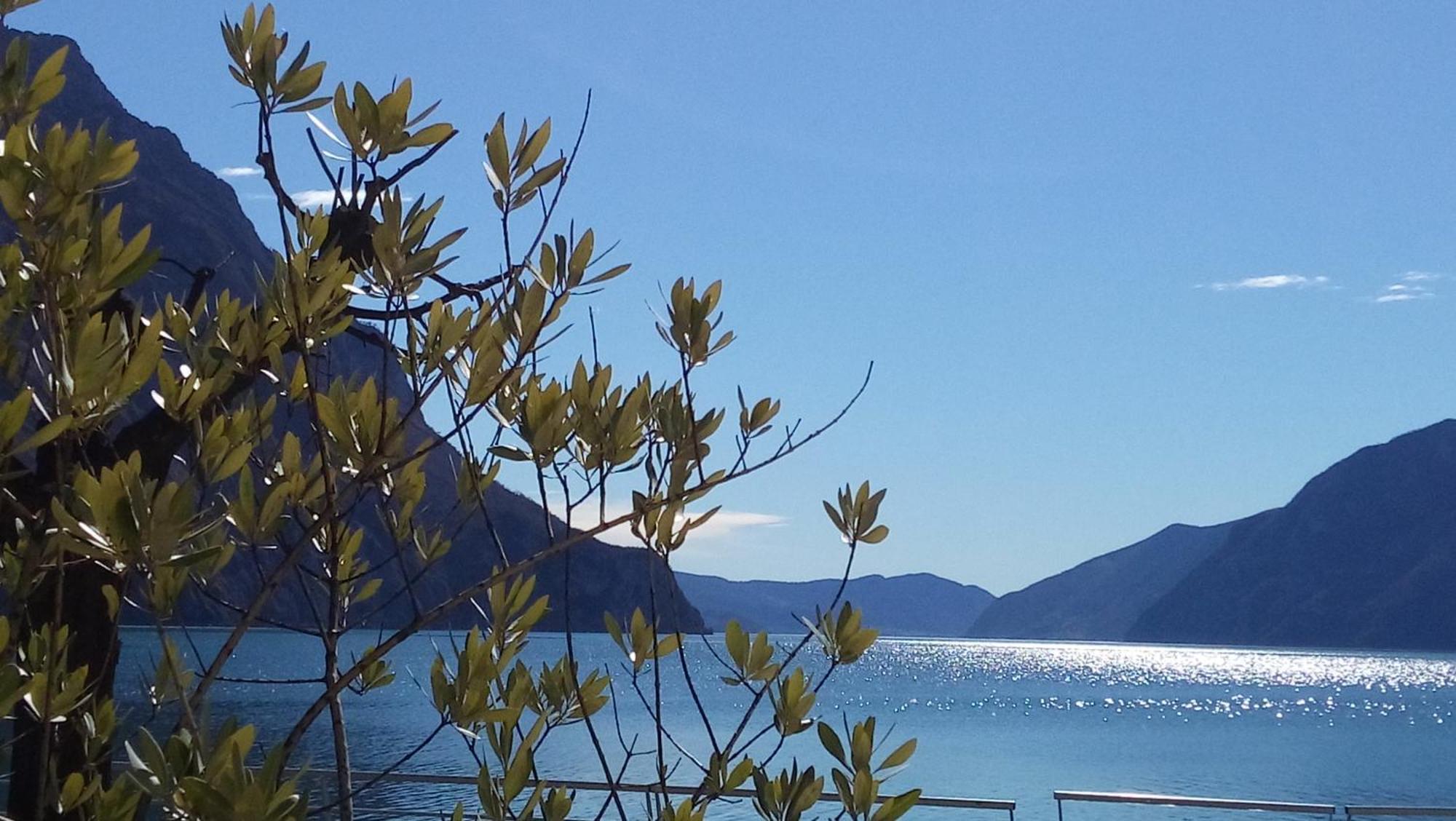 Ca Del Lac Castro  Dış mekan fotoğraf